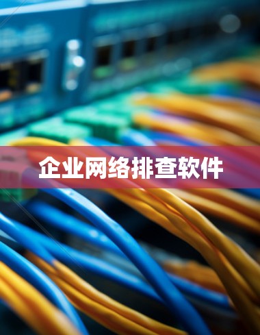 企业网络排查软件