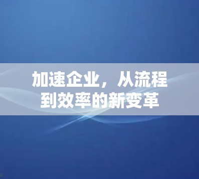 加速企业，从流程到效率的新变革