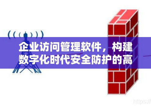 企业访问管理软件，构建数字化时代安全防护的高效解决方案