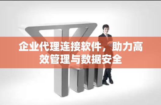 企业代理连接软件，助力高效管理与数据安全