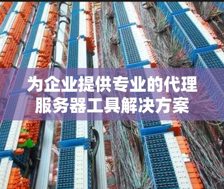 为企业提供专业的代理服务器工具解决方案