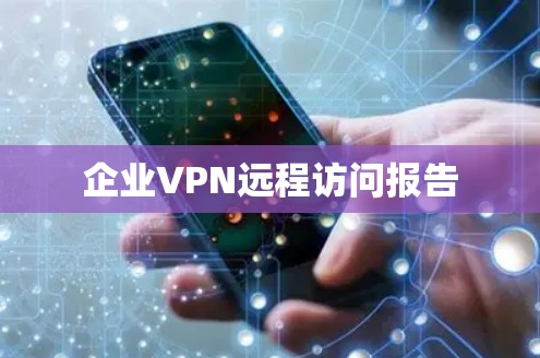 企业VPN远程访问报告