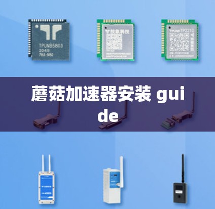 蘑菇加速器安装 guide