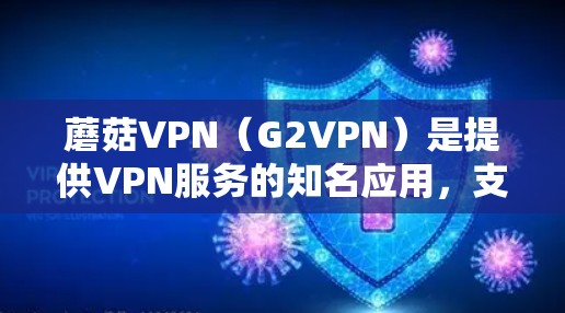 蘑菇VPN(G2VPN)是提供VPN服务的知名应用,支持远程访问互联网,帮助用户减少网络压力。以下是蘑菇VPN最新版的客户端介绍,涵盖功能、安全性、注册流程、安全设置等信息