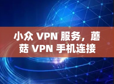 小众 VPN 服务,蘑菇 VPN 手机连接 小众 VPN 服务,蘑菇 VPN 手机连接