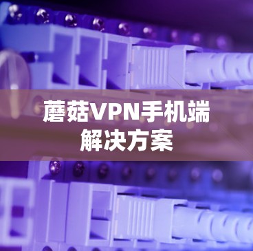 蘑菇VPN手机端解决方案