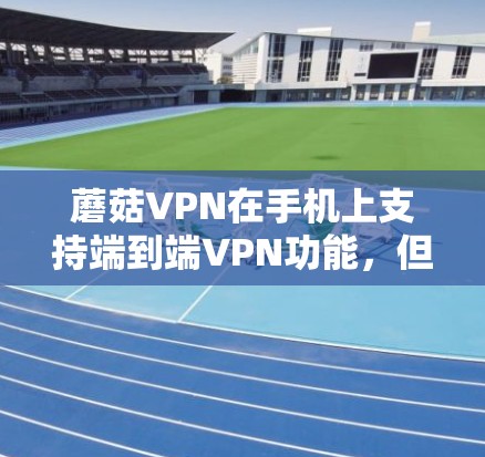蘑菇VPN在手机上支持端到端VPN功能，但具体支持情况取决于设备和网络环境。以下是一些关键点