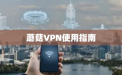 蘑菇VPN使用指南 蘑菇VPN使用指南