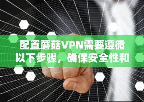 配置蘑菇VPN需要遵循以下步骤，确保安全性和高效性