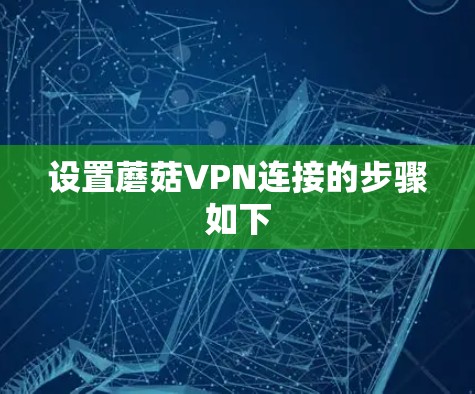 设置蘑菇VPN连接的步骤如下