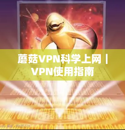 蘑菇VPN科学上网|VPN使用指南