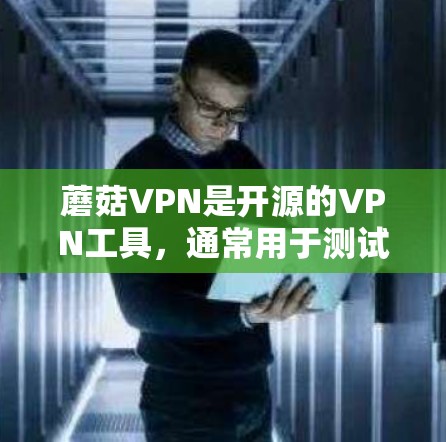 蘑菇VPN是开源的VPN工具，通常用于测试和监控网络带宽、流量和带宽比例等性能指标。如果您的服务器正在运行蘑菇VPN，那么测试其带宽和延迟表现可能会帮助您优化服务器配置，确保网络连接稳定和高效