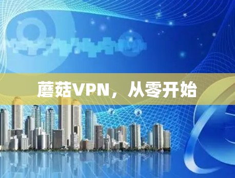 蘑菇VPN,从零开始 蘑菇VPN,从零开始