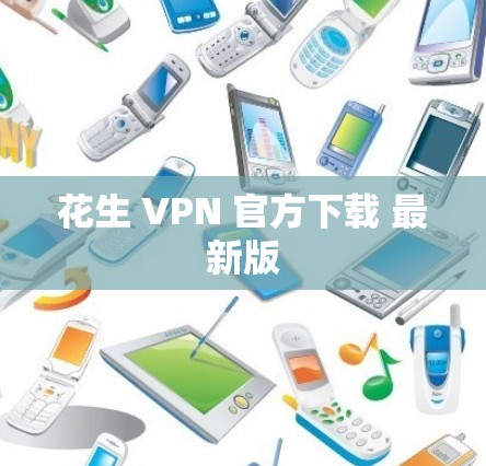 花生 VPN 官方下载 最新版