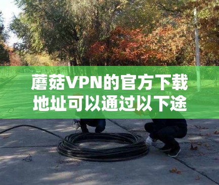 蘑菇VPN的官方下载地址可以通过以下途径获取 蘑菇VPN的官方下载地址可以通过以下途径获取