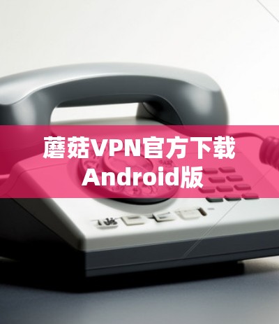 蘑菇VPN官方下载 Android版
