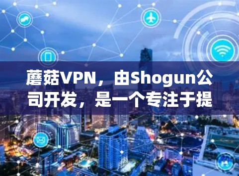 蘑菇VPN，由Shogun公司开发，是一个专注于提供专业VPN服务的互联网服务提供商。以下是其主要功能和特点的详细介绍