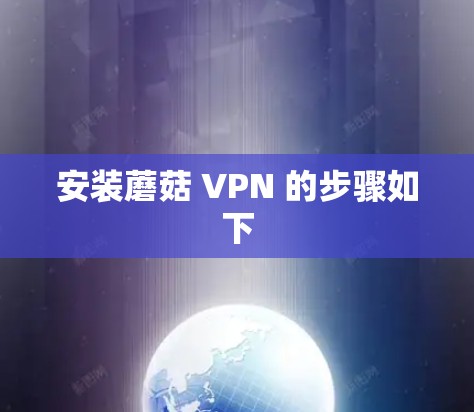 安装蘑菇 VPN 的步骤如下