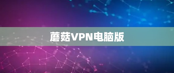 蘑菇VPN电脑版