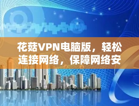 花菇VPN电脑版，轻松连接网络，保障网络安全