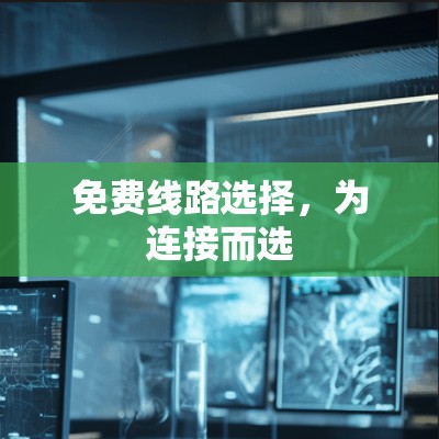 免费线路选择，为连接而选