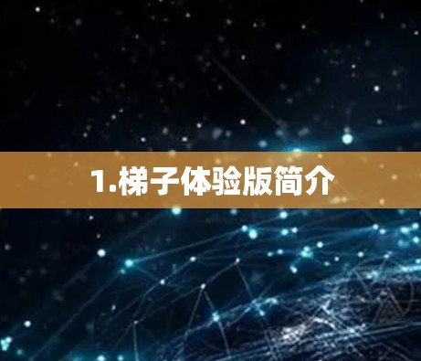 1.梯子体验版简介