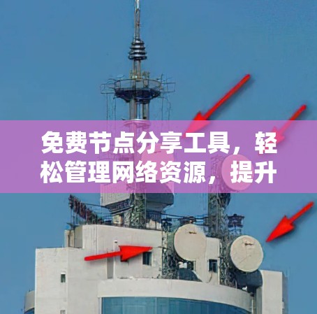 免费节点分享工具，轻松管理网络资源，提升网络效率