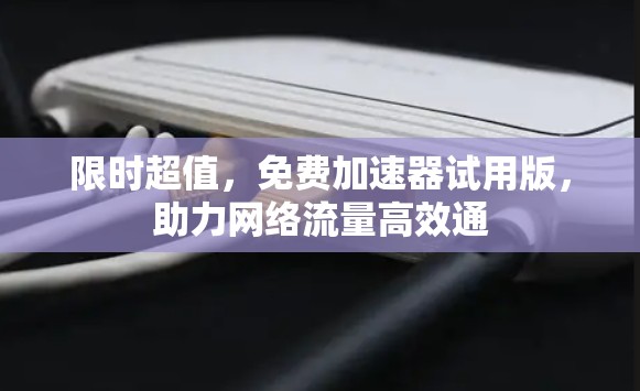 限时超值，免费加速器试用版，助力网络流量高效通
