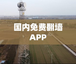国内免费翻墙APP