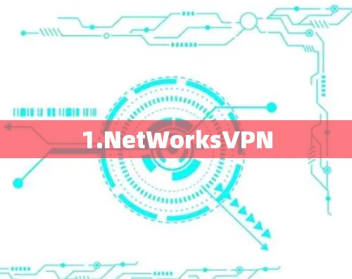 1.NetWorksVPN