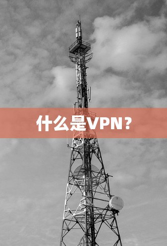 什么是VPN? 什么是VPN?