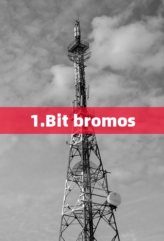 1.Bit bromos 1.Bit bromos