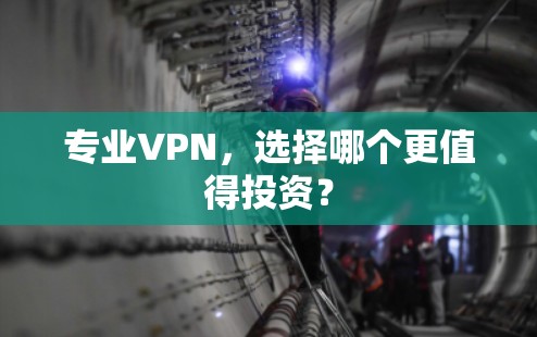 专业VPN，选择哪个更值得投资？