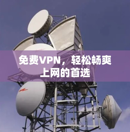 免费VPN,轻松畅爽上网的首选