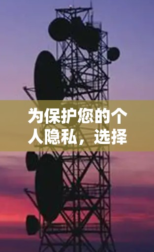 为保护您的个人隐私，选择合适的VPN服务