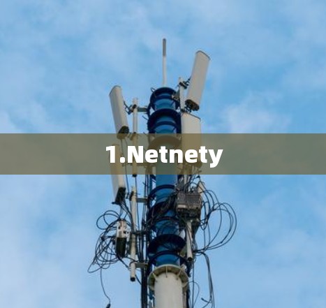 1.Netnety