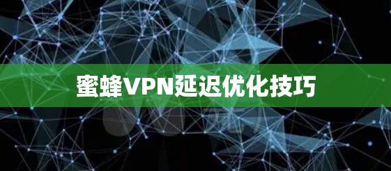 蜜蜂VPN延迟优化技巧 蜜蜂VPN延迟优化技巧