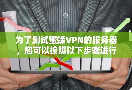 为了测试蜜蜂VPN的服务器,您可以按照以下步骤进行