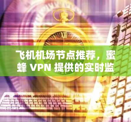 飞机机场节点推荐，蜜蜂 VPN 提供的实时监控与安全防御解决方案
