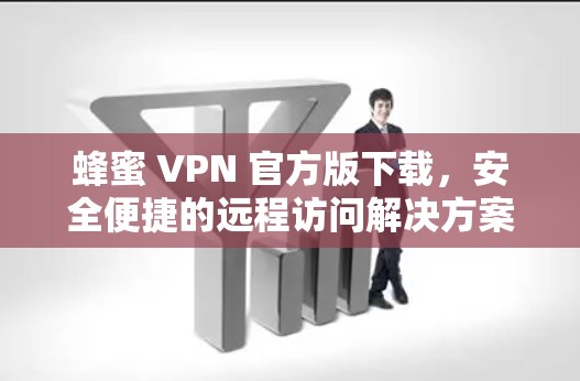 蜂蜜 VPN 官方版下载，安全便捷的远程访问解决方案