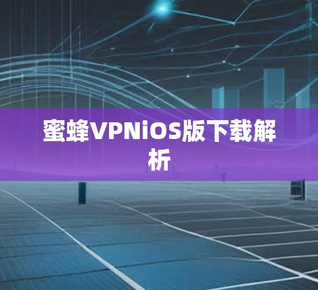 蜜蜂VPNiOS版下载解析