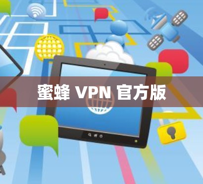 蜜蜂 VPN 官方版