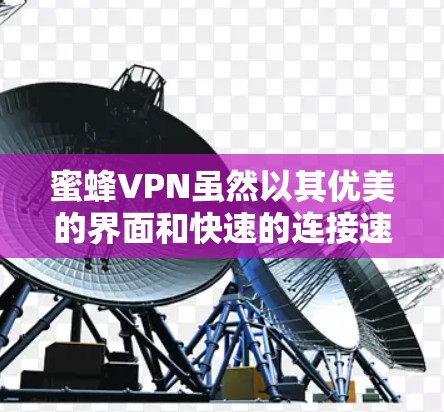 蜜蜂VPN虽然以其优美的界面和快速的连接速度而著称，但它确实存在一些漏洞和安全风险。以下是对蜜蜂VPN和一些推荐的VPN梯子的详细分析