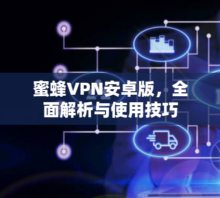 蜜蜂VPN安卓版，全面解析与使用技巧