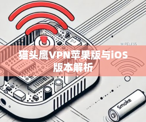 猫头鹰VPN苹果版与iOS版本解析