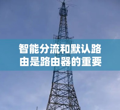 智能分流和默认路由是路由器的重要配置部分,以下是详细的步骤和建议 智能分流和默认路由是路由器的重要配置部分,以下是详细的步骤和建议