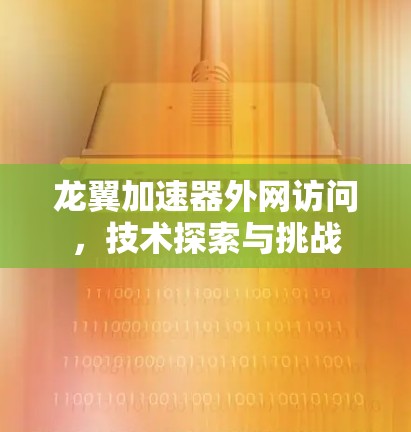 龙翼加速器外网访问,技术探索与挑战
