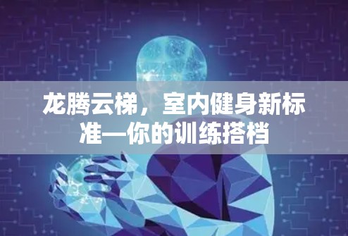 龙腾云梯,室内健身新标准—你的训练搭档 龙腾云梯,室内健身新标准—你的训练搭档