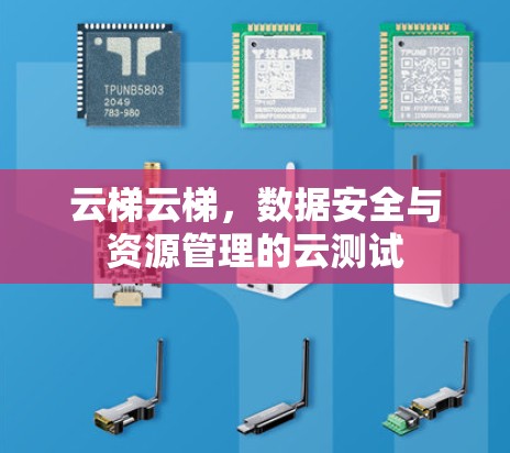 云梯云梯，数据安全与资源管理的云测试