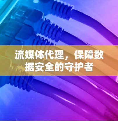 流媒体代理,保障数据安全的守护者